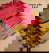 Kubera King Designer Softy Silk Sarees Catalog